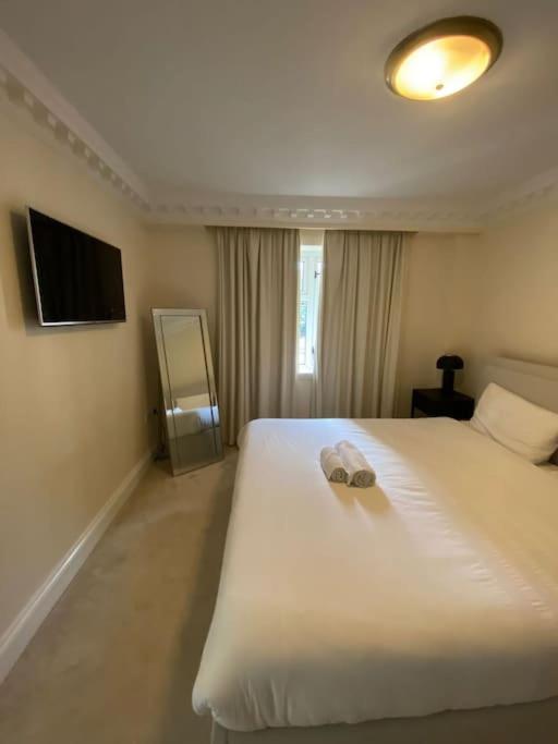 Newly Refurbished Apartment, Near Station & River Apartament Londra